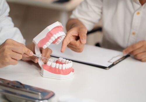 Dental Schools Council sets out roadmap to reverse academic workforce decline